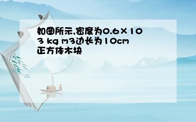 如图所示,密度为0.6×103 kg m3边长为10cm正方体木块