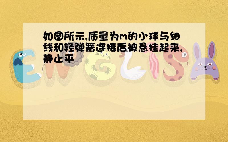 如图所示,质量为m的小球与细线和轻弹簧连接后被悬挂起来,静止平