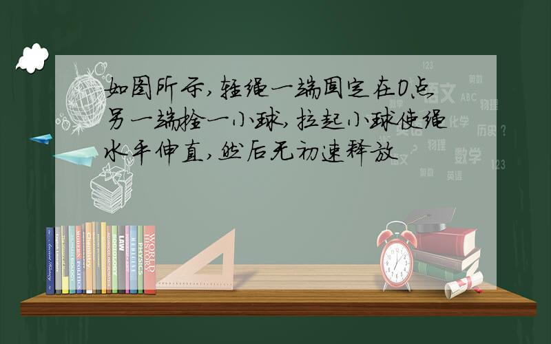 如图所示,轻绳一端固定在O点另一端拴一小球,拉起小球使绳水平伸直,然后无初速释放