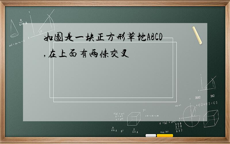 如图是一块正方形草地ABCD,在上面有两条交叉