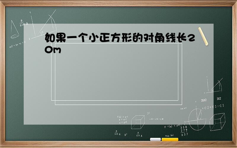 如果一个小正方形的对角线长20m