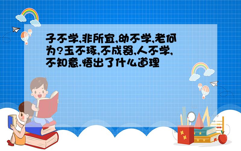 子不学,非所宜,幼不学,老何为?玉不琢,不成器,人不学,不知意.悟出了什么道理