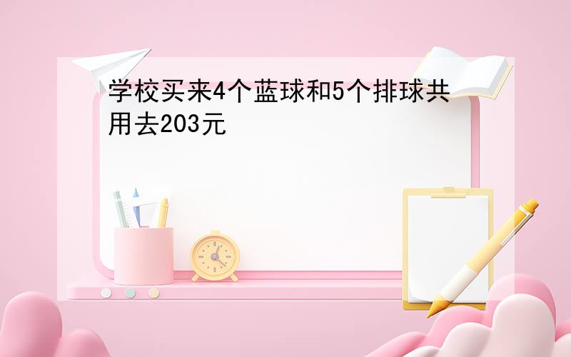 学校买来4个蓝球和5个排球共用去203元