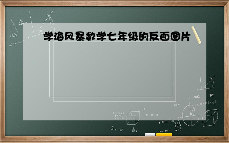 学海风暴数学七年级的反面图片