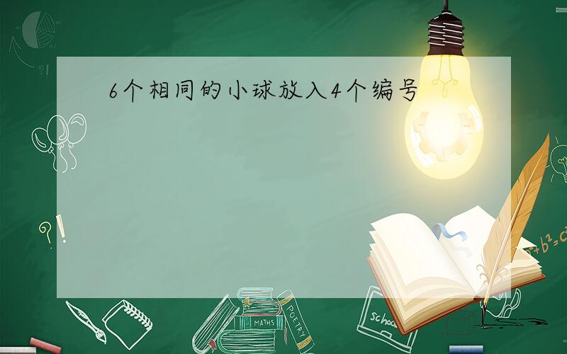 6个相同的小球放入4个编号