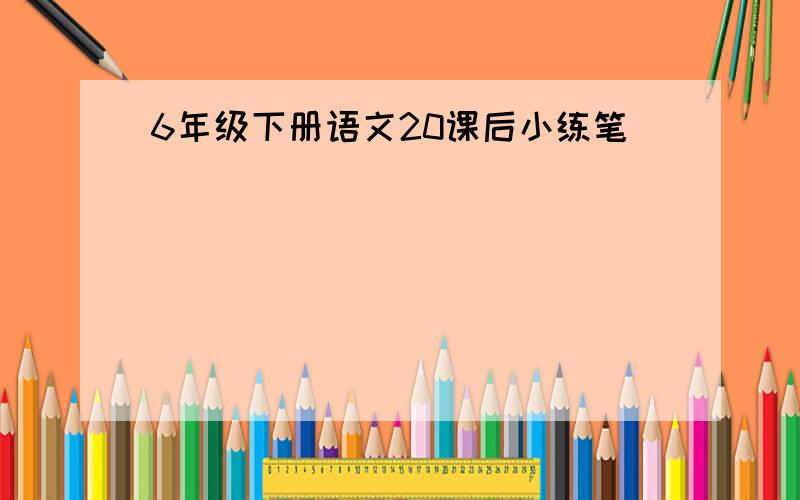 6年级下册语文20课后小练笔