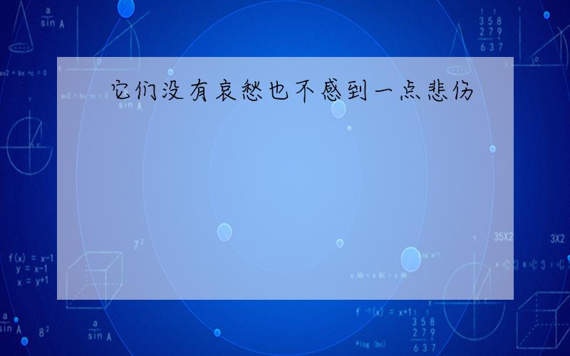 它们没有哀愁也不感到一点悲伤