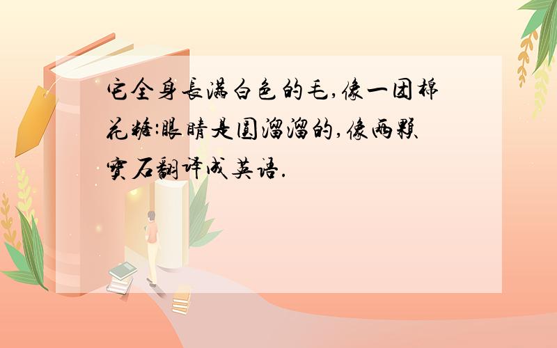 它全身长满白色的毛,像一团棉花糖:眼睛是圆溜溜的,像两颗宝石翻译成英语.