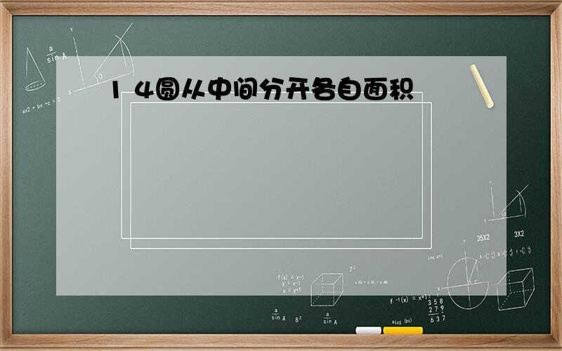 1 4圆从中间分开各自面积