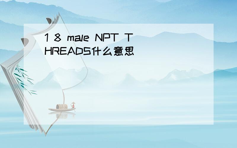 1 8 male NPT THREADS什么意思