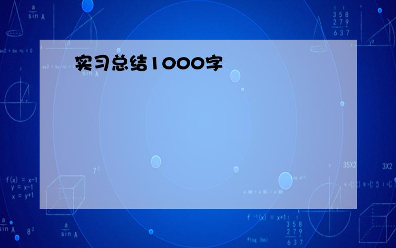 实习总结1000字