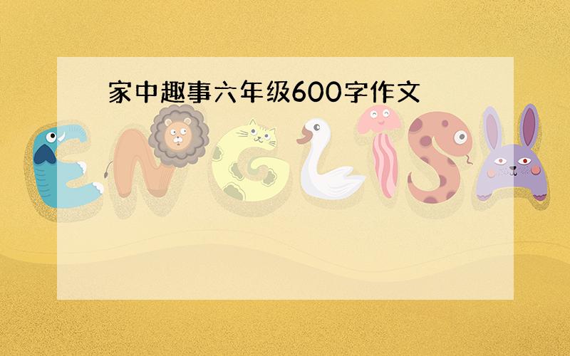 家中趣事六年级600字作文