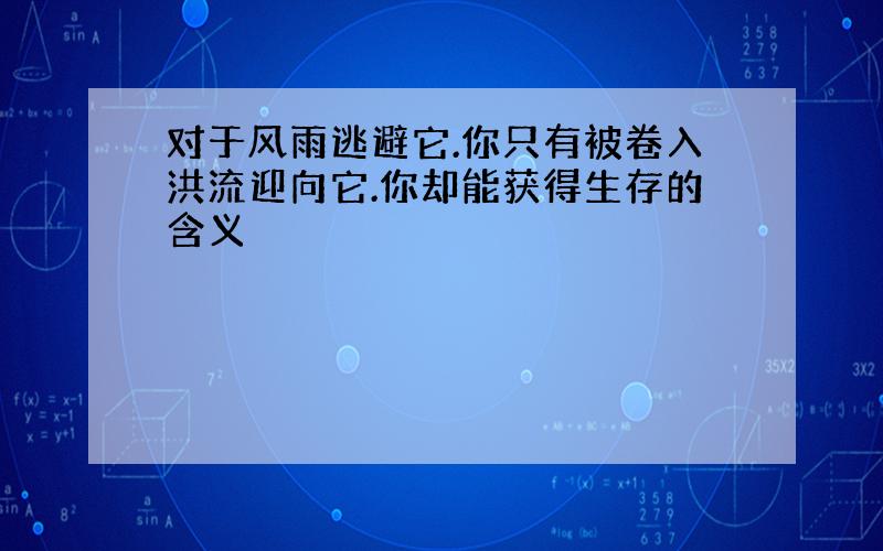 对于风雨逃避它.你只有被卷入洪流迎向它.你却能获得生存的含义