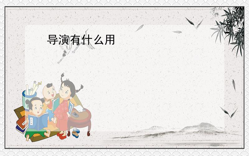 导演有什么用