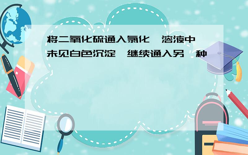 将二氧化硫通入氯化钡溶液中,未见白色沉淀,继续通入另一种