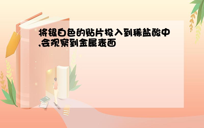 将银白色的贴片投入到稀盐酸中,会观察到金属表面