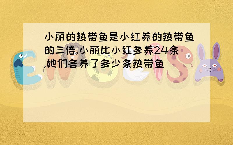 小丽的热带鱼是小红养的热带鱼的三倍,小丽比小红多养24条,她们各养了多少条热带鱼