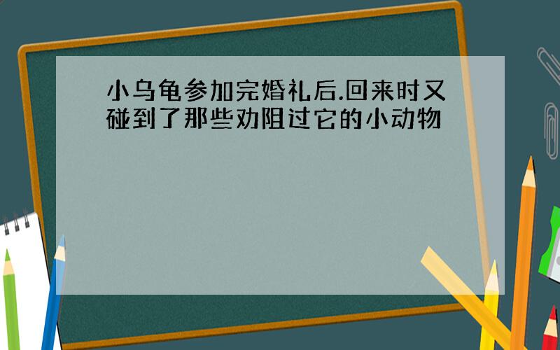 小乌龟参加完婚礼后.回来时又碰到了那些劝阻过它的小动物