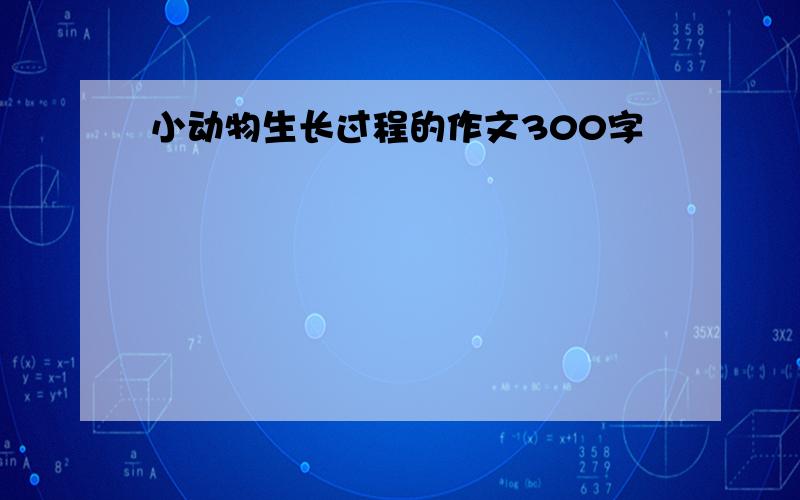 小动物生长过程的作文300字