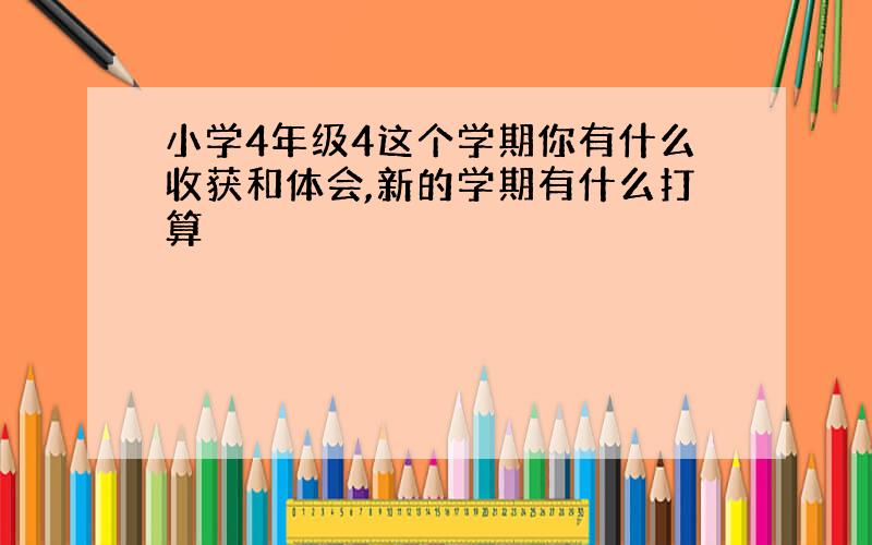 小学4年级4这个学期你有什么收获和体会,新的学期有什么打算