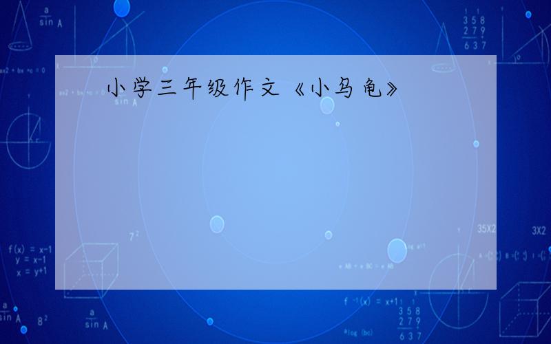 小学三年级作文《小乌龟》