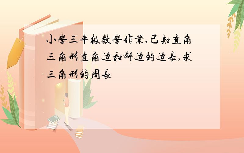 小学三年级数学作业,已知直角三角形直角边和斜边的边长,求三角形的周长