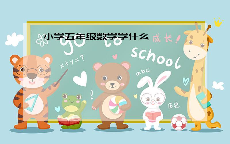 小学五年级数学学什么