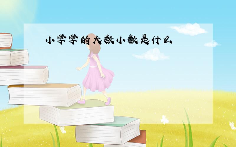 小学学的大数小数是什么