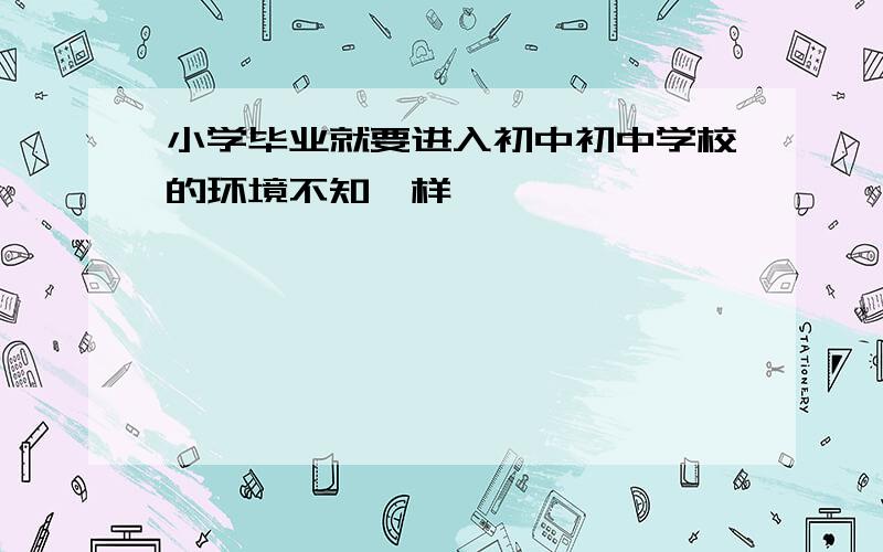 小学毕业就要进入初中初中学校的环境不知咋样