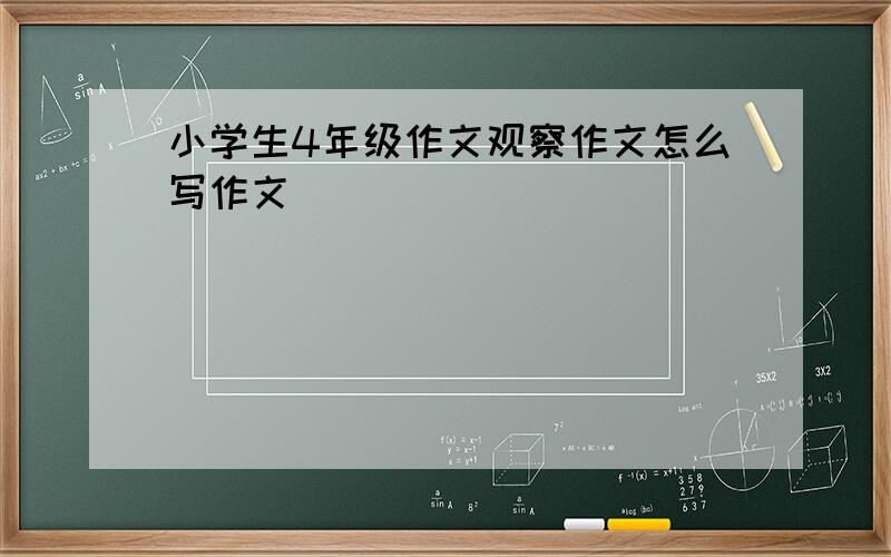 小学生4年级作文观察作文怎么写作文