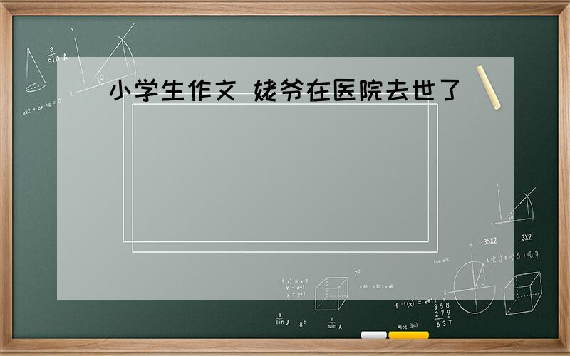 小学生作文 姥爷在医院去世了