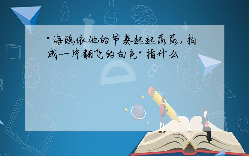 "海鸥依他的节奏起起落落,拍成一片翻飞的白色"指什么