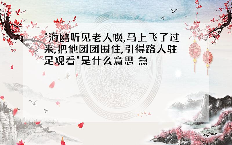 "海鸥听见老人唤,马上飞了过来,把他团团围住,引得路人驻足观看"是什么意思 急