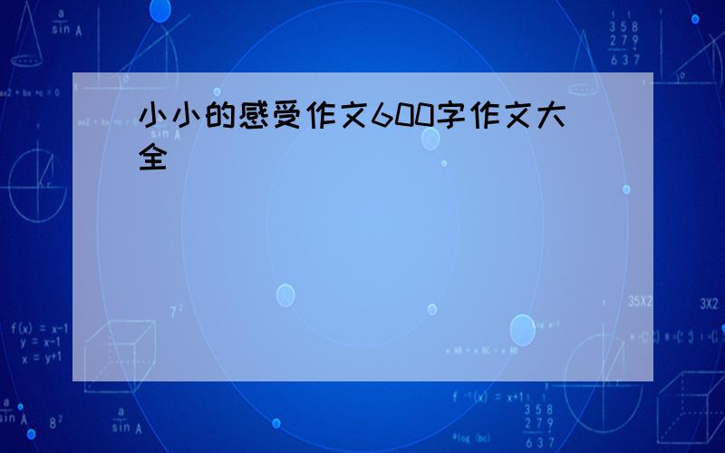 小小的感受作文600字作文大全