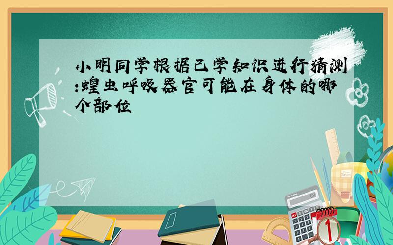 小明同学根据已学知识进行猜测:蝗虫呼吸器官可能在身体的哪个部位