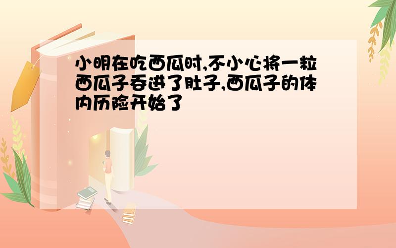 小明在吃西瓜时,不小心将一粒西瓜子吞进了肚子,西瓜子的体内历险开始了