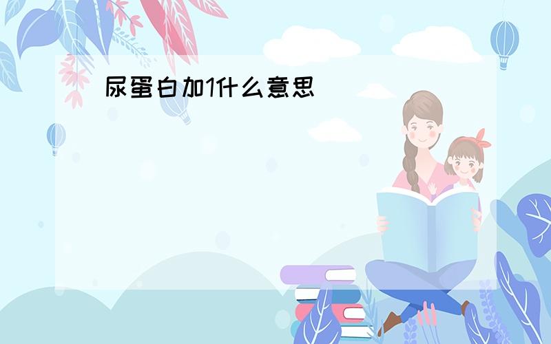 尿蛋白加1什么意思