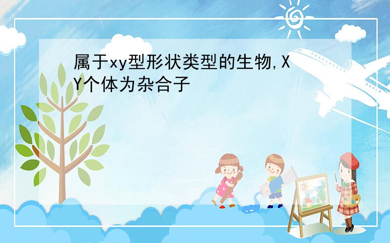 属于xy型形状类型的生物,XY个体为杂合子