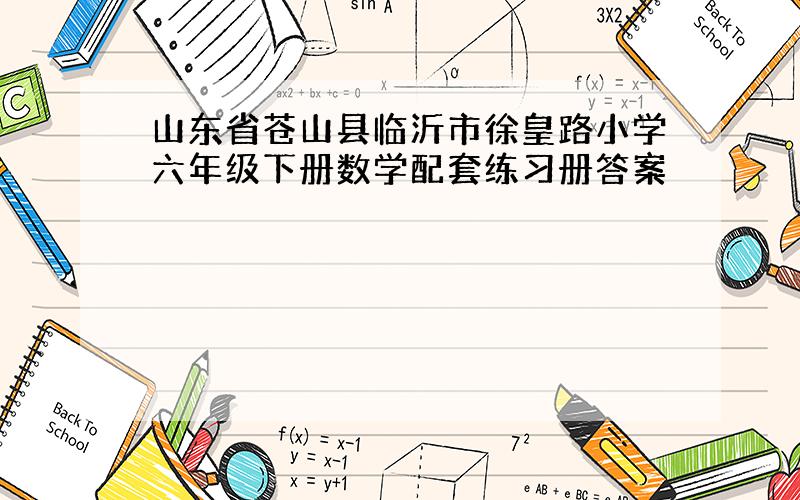 山东省苍山县临沂市徐皇路小学六年级下册数学配套练习册答案