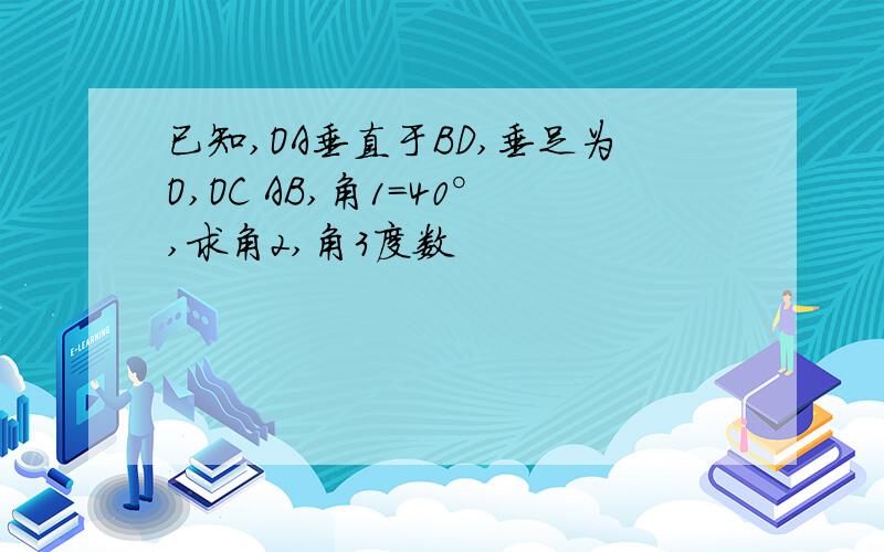 已知,OA垂直于BD,垂足为O,OC AB,角1=40°,求角2,角3度数