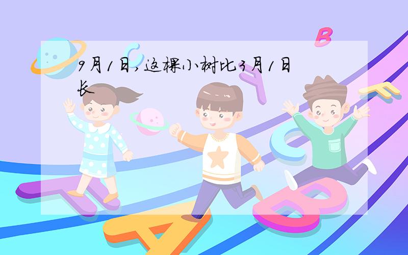 9月1日,这棵小树比3月1日长