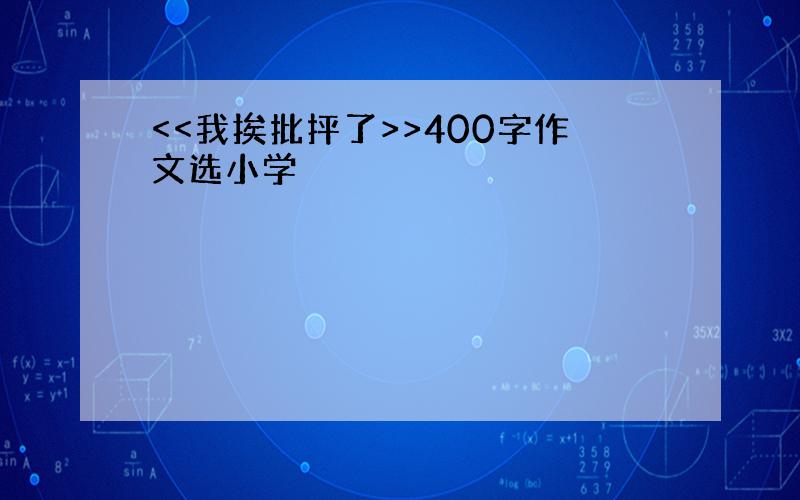 <<我挨批抨了>>400字作文选小学