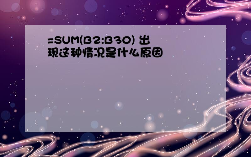 =SUM(B2:B30) 出现这种情况是什么原因