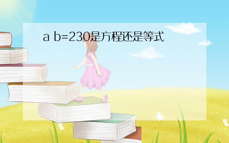 a b=230是方程还是等式