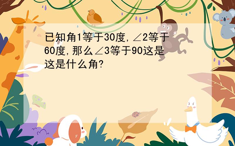 已知角1等于30度,∠2等于60度,那么∠3等于90这是这是什么角?