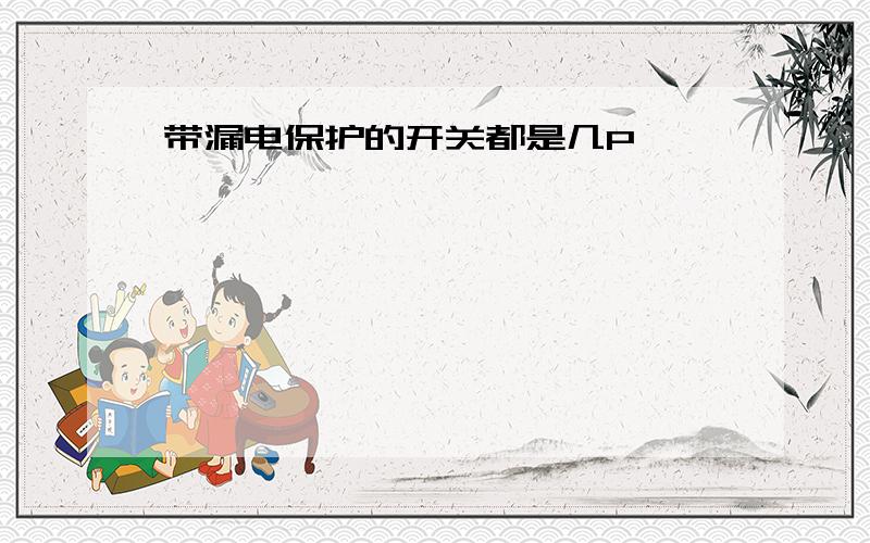 带漏电保护的开关都是几P