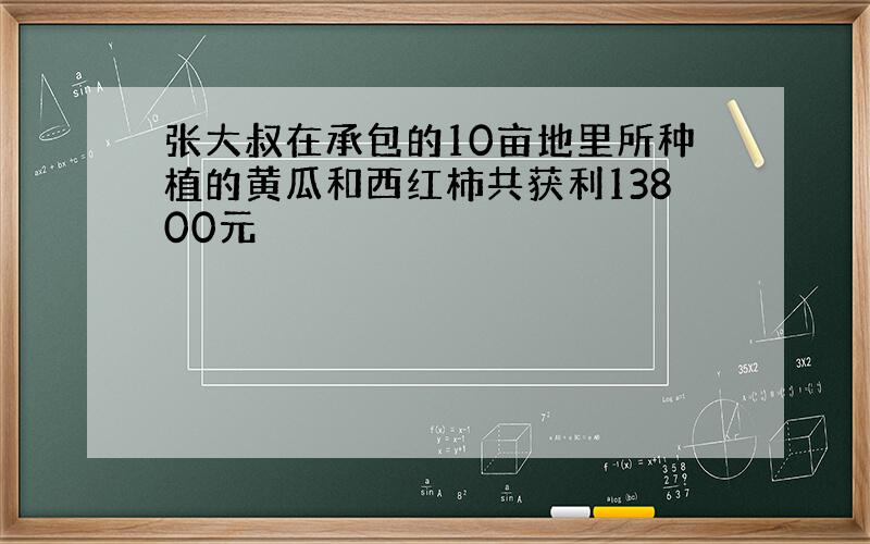 张大叔在承包的10亩地里所种植的黄瓜和西红柿共获利13800元