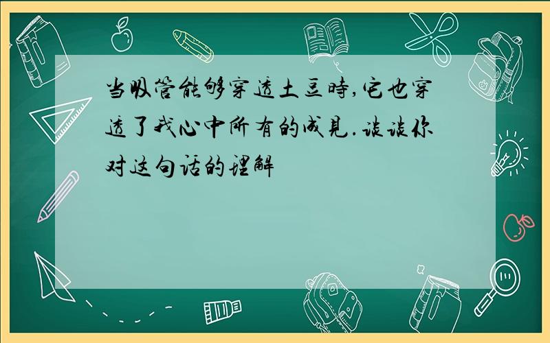 当吸管能够穿透土豆时,它也穿透了我心中所有的成见.谈谈你对这句话的理解