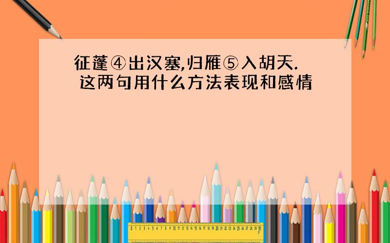 征蓬④出汉塞,归雁⑤入胡天. 这两句用什么方法表现和感情