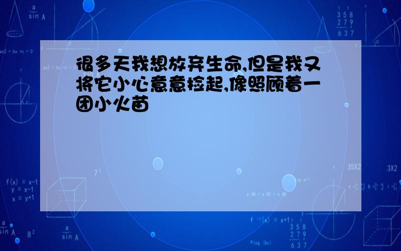 很多天我想放弃生命,但是我又将它小心意意捡起,像照顾着一团小火苗